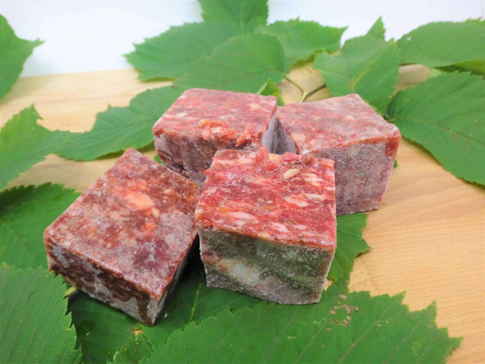Schlabbimenü: gefrorene BARF-Würfel aus Fleisch, Gemüse und Früchten